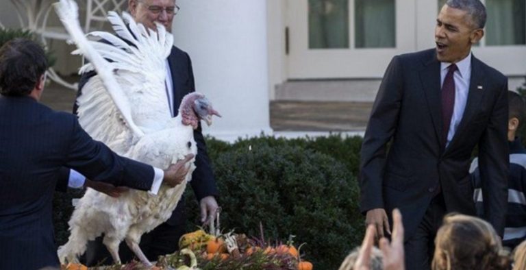 Thanksgiving: Και φέτος η… πατροπαράδοτη χάρη του Ομπάμα σε γαλοπούλα! (video)