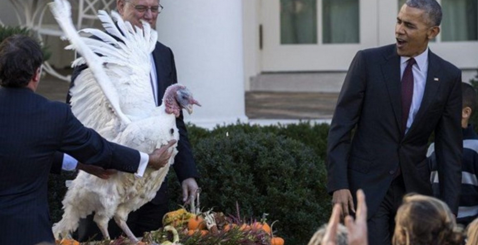 Thanksgiving: Και φέτος η… πατροπαράδοτη χάρη του Ομπάμα σε γαλοπούλα! (video)