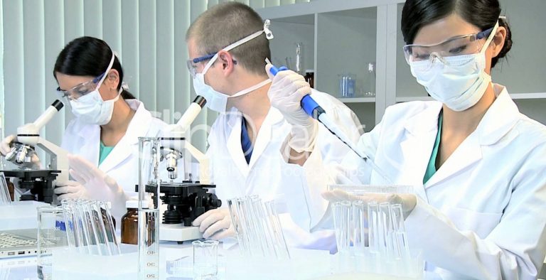 Σαν σε ταινία η ανάπτυξη των κυττάρων του εμβρύου