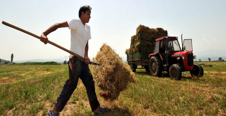 ΠΕ Δράμας: Παράταση αιτήσεων για την «Εγκατάσταση Νέων Γεωργών»