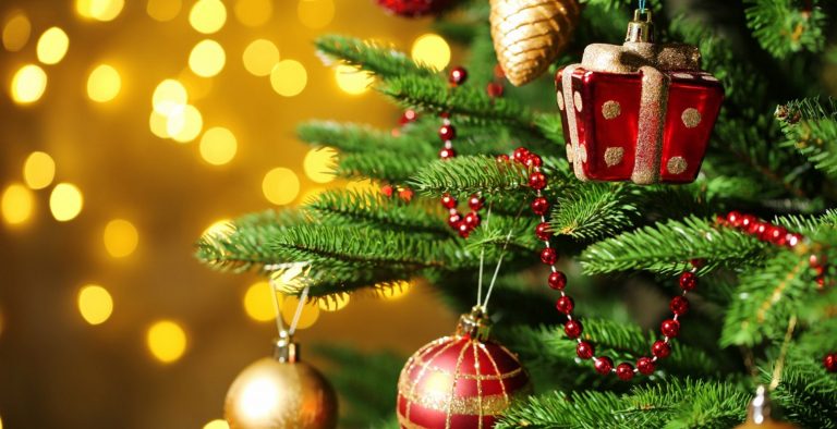 Χριστουγεννιάτικη εκδήλωση από τη Σχολή Μωραΐτη για την «κιβωτό του κόσμου»
