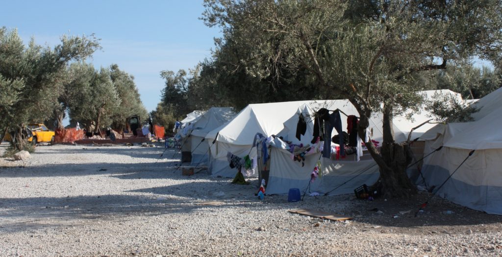 Λέσβος: Ελαιόλαδο από τις ελιές του Καρά Τεπέ παρήγαγαν οι πρόσφυγες