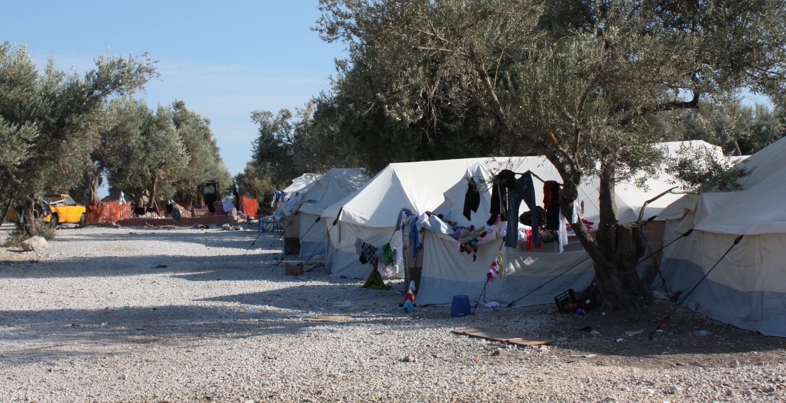 Λέσβος: Ελαιόλαδο από τις ελιές του Καρά Τεπέ παρήγαγαν οι πρόσφυγες