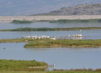 Εγκρίθηκε η ανάδειξη της διαδρομής προς τη λίμνη Κιθάρα στο Κτήμα Τατοΐου