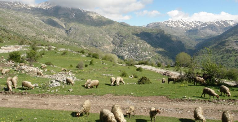 Επιδοτήσεις σε βοσκοτόπια: Δικαίωση της Ελλάδας στο Δικαστήριο της ΕΕ