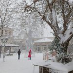 Οδηγίες για χιονο…βόλτες!
