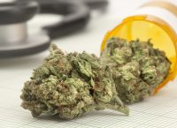 Η ιατρική κάνναβη έχει θεραπευτική ιδιότητα και για τη χημειοθεραπεία