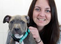 Κουτάβι κατάπιε κουζινομάχαιρο κι επέζησε!