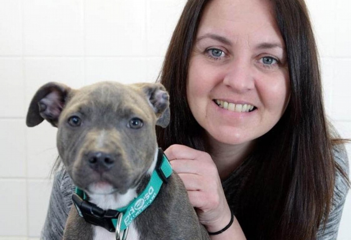 Κουτάβι κατάπιε κουζινομάχαιρο κι επέζησε!