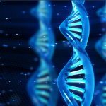 Για πρώτη φορά πειράματα με μίνι-εγκεφάλους που θα περιέχουν DNA Νεάντερταλ