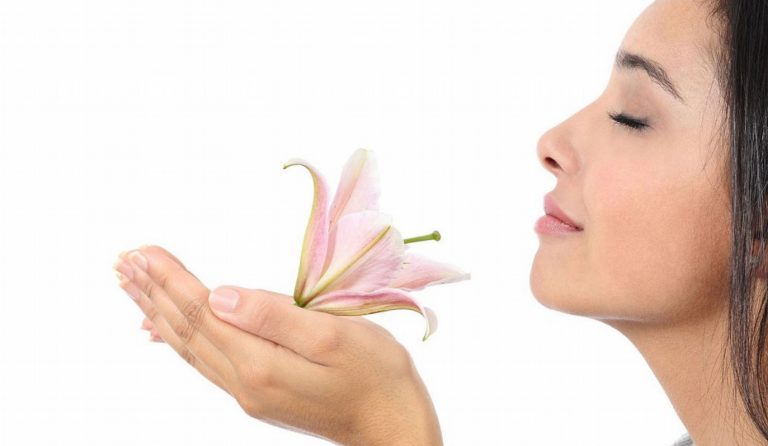 Ανθρώπινη όσφρηση: Ικανή να αναγνωρίσει έως και ένα τρισεκατομμύριο μυρωδιές