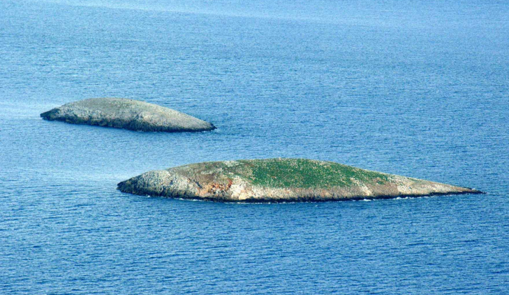 Συνεχίζει να προκαλεί η Τουρκία: Τα Ίμια είναι τουρκικό έδαφος