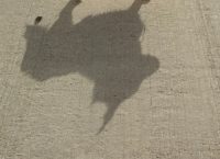 Σκύλος δάγκωσε 2χρονη στο πρόσωπο μέσα σε πλοίο