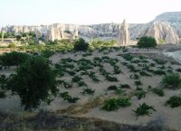 Καππαδοκία και κρασί: εκεί που αρχίζει η ιστορία…