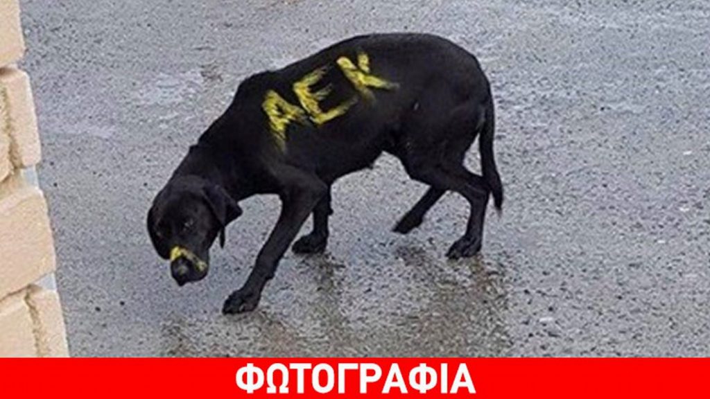 Καταδικάζει η ΑΕΚ!