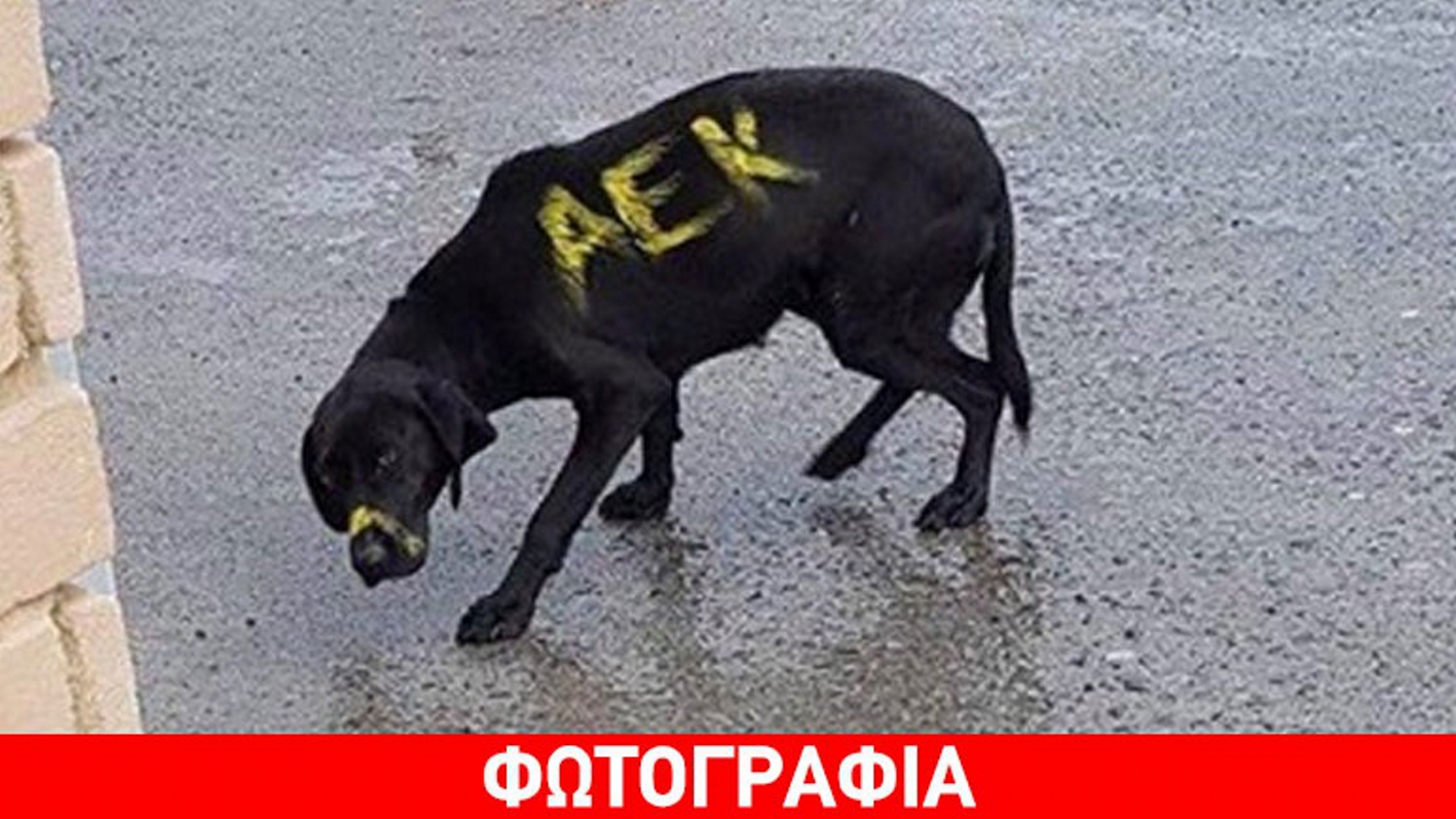 Καταδικάζει η ΑΕΚ!