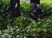 «Θεία Κωμωδία» του Δάντη από την Αργυρώ Χιώτη και την ομάδα Vasistas