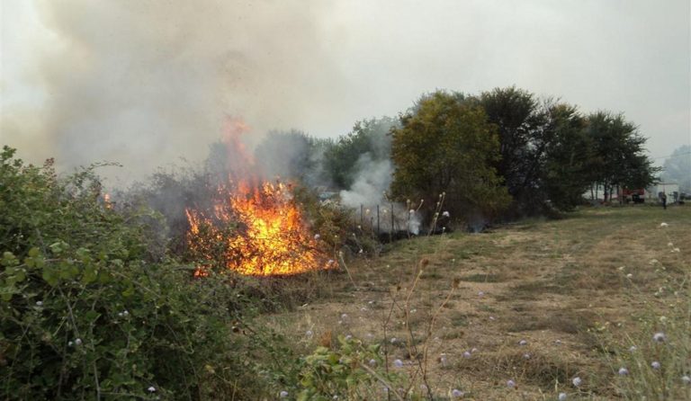 Φωτιά σε δασική έκταση στην περιοχή Αδάμι Αργολίδας (pics)