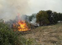 Σε εξέλιξη η φωτιά στον Πισσώνα Εύβοιας