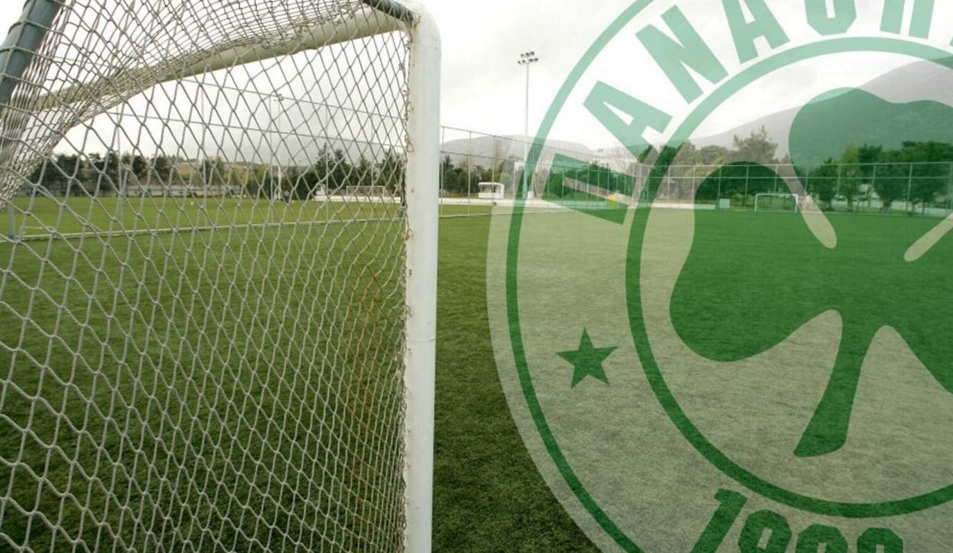 “Pan Asia” vs “Athens Alive”: Το μπρα ντε φερ με έπαθλο τον Παναθηναϊκό