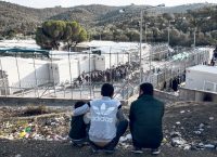 Λέσβος: Πρόσφυγες έσφαξαν πρόβατα για να τα φάνε