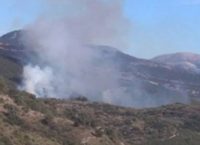 Αγρίνιο: Πυρκαγιά σε δασική έκταση στην Παλαιοκαρυά