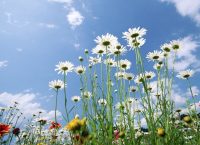 Εορτολόγιο: Δείτε ποιοι γιορτάζουν σήμερα (21/10/18)