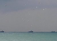 Μαύρη Θάλασσα: Βυθίστηκε πλοίο με 11μελές πλήρωμα