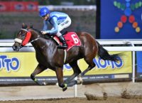 Βραδινό πρόγραμμα στο Μαρκόπουλο με πέντε ιπποδρομίες