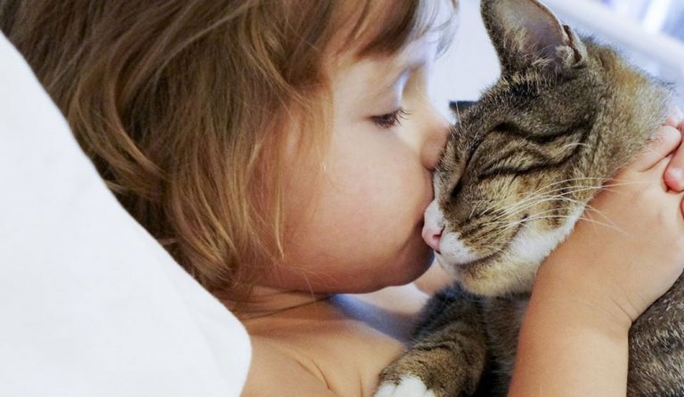 Έρευνα: Οι γάτες μειώνουν τον κίνδυνο άσθματος στα παιδιά