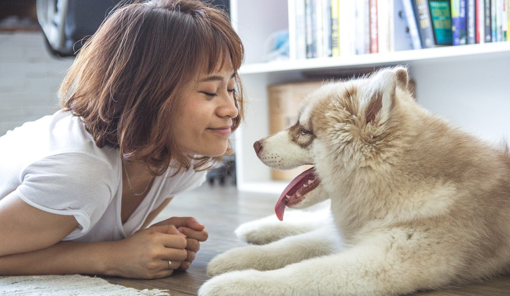 Η κάμερα ασφαλείας “τσάκωσε” τον κλέφτη σκύλο (vid)