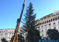 Θεσσαλονίκη: Στήθηκε το χριστουγεννιάτικο δένδρο στην πλατεία Αριστοτέλους (vid)