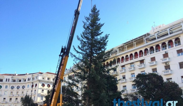 Θεσσαλονίκη: Στήθηκε το χριστουγεννιάτικο δένδρο στην πλατεία Αριστοτέλους (vid)