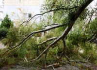 Προβλήματα ηλεκτροδότησης στα νότια προάστια λόγω των ισχυρών ανέμων