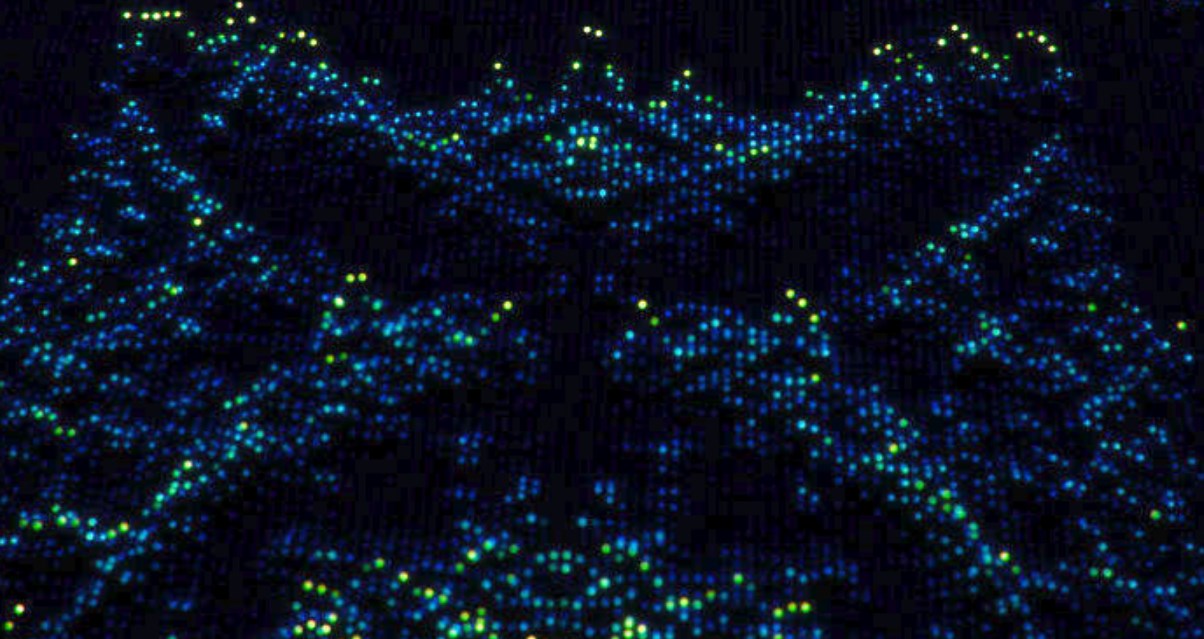 Ερευνητές της Google δημιούργησαν μια κβαντική πεταλούδα