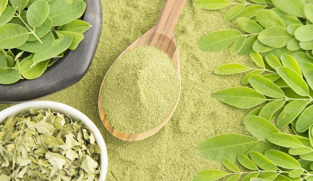 Moringa: Το νέο superfood με θαυματουργές ιδιότητες (pics)