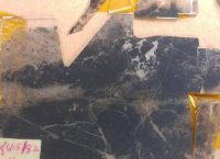 Επιστήμονες ανακάλυψαν την πρώτη μορφή ζωής του πλανήτη σε απολιθώματα 3,5 δισ. ετών