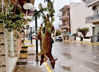 Ψαχνά: Σάλος με τη φωτογραφία κρεοπωλείου με δύο κρεμασμένα ελάφια (pic & vid)