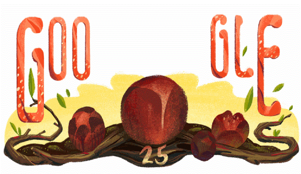 Doodle της Google: Αφιερωμένο στο Rafflesia arnoldii, το μεγαλύτερο λουλούδι του κόσμου (pics&vid)