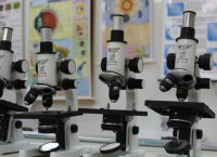 Επιστήμονες δημιούργησαν τον πρώτο λειτουργικό ανθρώπινο μυ από κύτταρα δέρματος