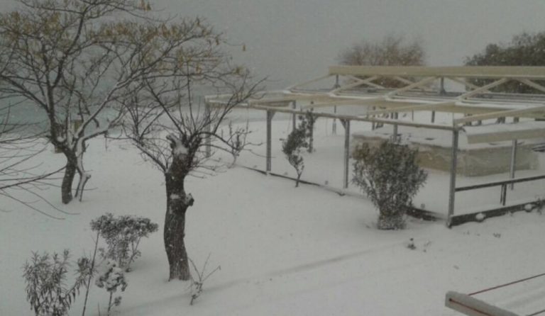 Χιονόπτωση στη Χαλκιδική: Πού χρειάζονται αντιολισθητικές αλυσίδες (vid)