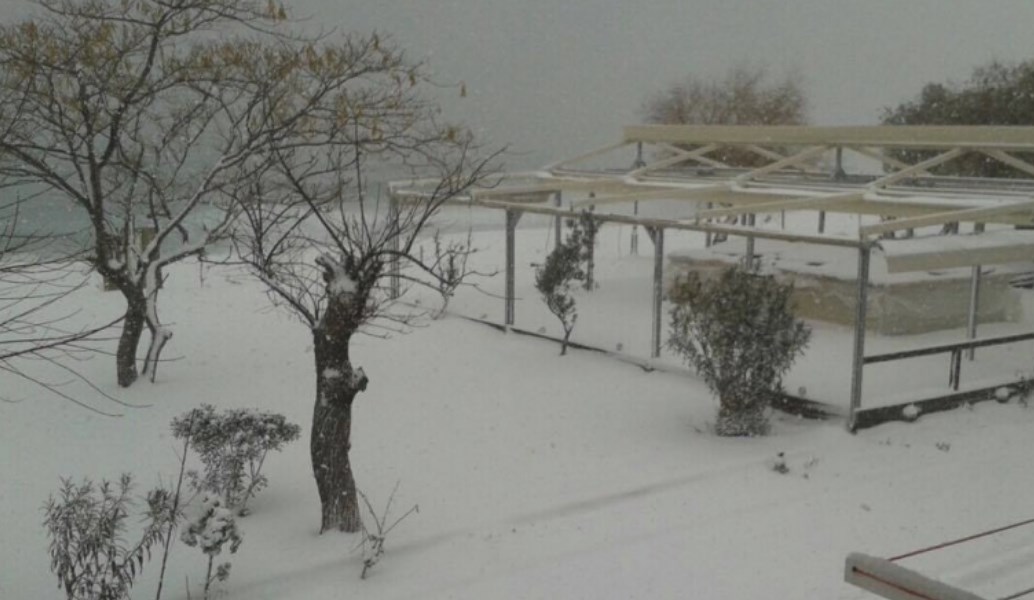Χιονόπτωση στη Χαλκιδική: Πού χρειάζονται αντιολισθητικές αλυσίδες (vid)