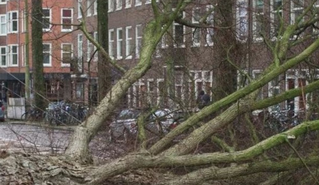 Γερμανία: Στους 8 οι νεκροί από την κακοκαιρία (pics & vid)