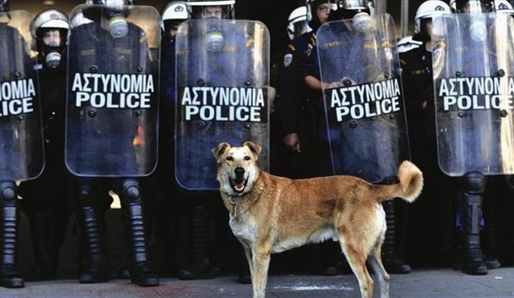 Καλαμάτα: Ξεκινά το 4ο Διεθνές Φεστιβάλ Ντοκιμαντέρ Πελοποννήσου