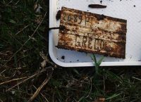 Αλβανία: Εντοπίστηκαν τα λείψανα Ελλήνων από το αλβανικό έπος