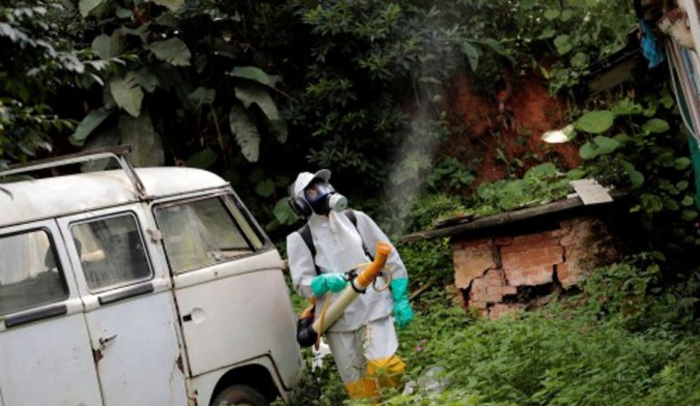 Βραζιλία: Συναγερμός από κρούσματα κίτρινου πυρετού