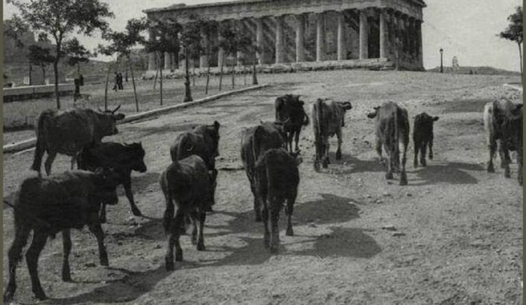 Πλήρωναν διόδια και τα γαϊδουράκια – Η ιστορία του πρώτου Κώδικα Οδικής Κυκλοφορίας