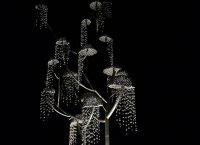 Καλπαβρίξα: Το δέντρο των επιθυμιών στην Ινδία (pics & vid)