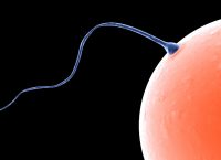 Βρετανία: Πλήρως ανεπτυγμένα ανθρώπινα ωάρια δημιούργησαν επιστήμονες