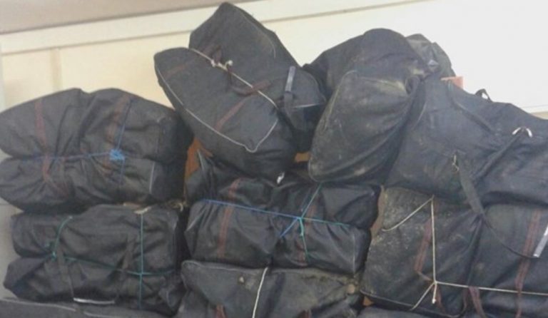 Θεσπρωτία: Κατασχέθηκαν 96 κιλά ακατέργαστης κάνναβης